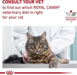 Royal Canin Veterinary Diet||Arm & Hammer Litter Royal Canin Veterinary Diet Gastrointestinal Fiber Response Dry Food + Arm & Hammer Litter Clump & Seal Multi-Cat Scented Clumping Clay Cat Litter -FANCY FEAST Sales 353453 PT4. SY630 V1639526497