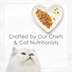 Fancy Feast Gourmet Gravy Petites Tender Beef With Carrots Entrée Wet Cat Food, 2.8-oz tub, case of 12 16 Fancy Feast Gourmet Gravy Petites Tender Beef With Carrots Entrée Wet Cat Food, 2.8-oz tub, case of 12 -FANCY FEAST Sales 354294 PT6. SY630 V1647918717