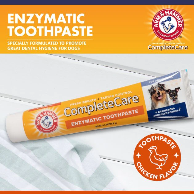 Arm & Hammer Complete Care Adult Chicken Flavored Dog Toothpaste, 6.2-oz tube 7 Arm & Hammer Complete Care Adult Chicken Flavored Dog Toothpaste, 6.2-oz tube - Image 5