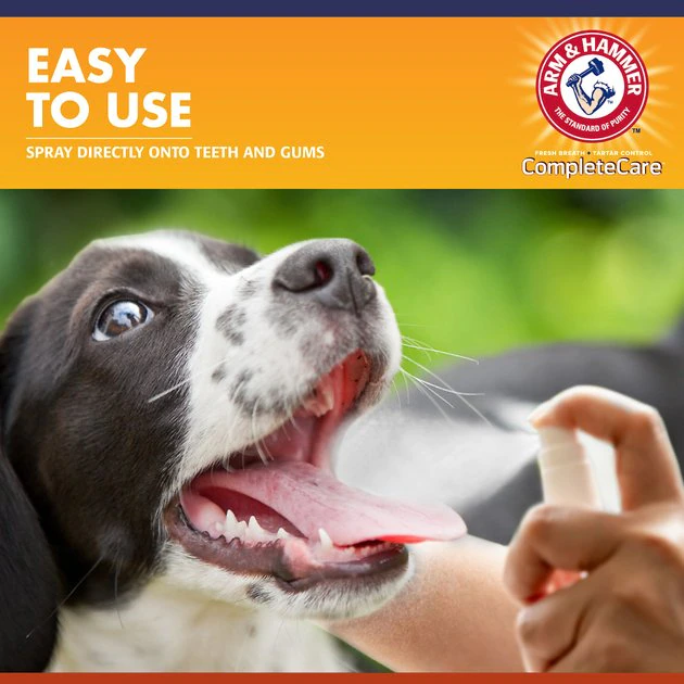 Arm & Hammer Complete Care Mint Flavored Dog Dental Spray, 6-oz bottle 6 Arm & Hammer Complete Care Mint Flavored Dog Dental Spray, 6-oz bottle - Image 4