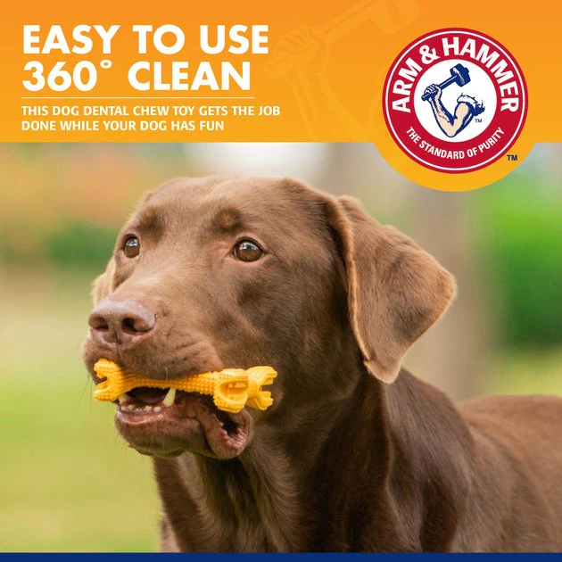 Arm & Hammer Ez Clean 360 Degree Dog Dental Tool Kit 6 Arm & Hammer Ez Clean 360 Degree Dog Dental Tool Kit - Image 4
