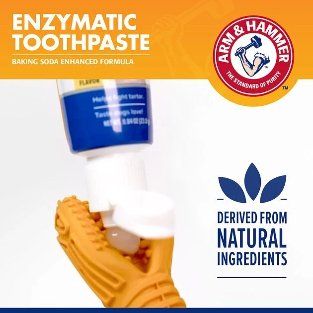 Arm & Hammer Ez Clean 360 Degree Dog Dental Tool Kit 7 Arm & Hammer Ez Clean 360 Degree Dog Dental Tool Kit - Image 5