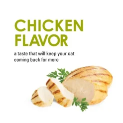 Fancy Feast Savory Cravings Chicken Flavor Cat Treats, 3-oz box, case of 3 14 Fancy Feast Savory Cravings Chicken Flavor Cat Treats, 3-oz box, case of 3 -FANCY FEAST Sales 549430 PT3. SY630 V1652985099