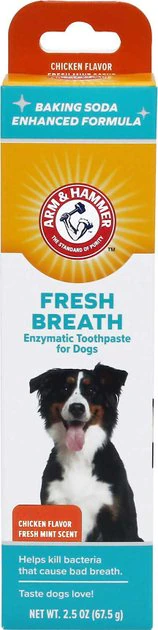 Arm & Hammer Fresh Breath Chicken Flavored Enzymatic Dog Toothpaste
