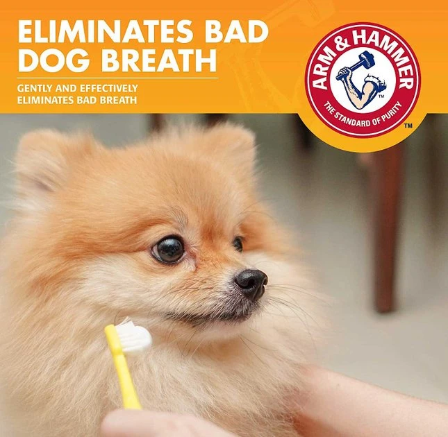 Arm & Hammer Fresh Breath Chicken Flavored Enzymatic Dog Toothpaste 6 Arm & Hammer Fresh Breath Chicken Flavored Enzymatic Dog Toothpaste - Image 4