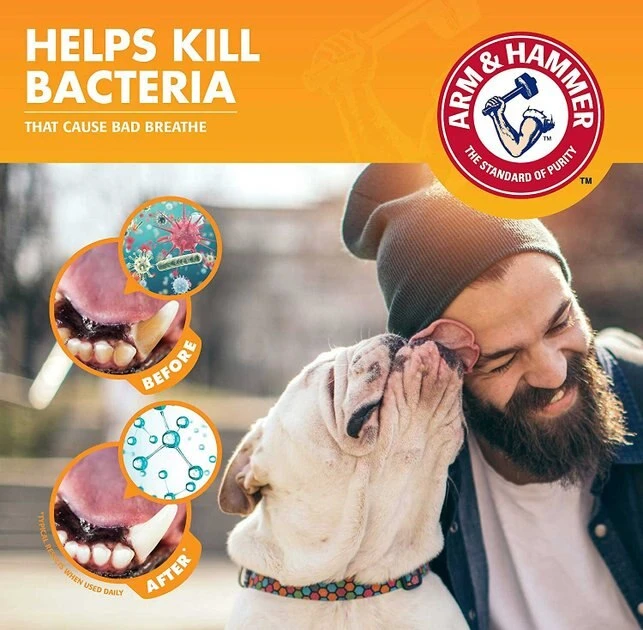 Arm & Hammer Fresh Breath Chicken Flavored Enzymatic Dog Toothpaste 7 Arm & Hammer Fresh Breath Chicken Flavored Enzymatic Dog Toothpaste - Image 5