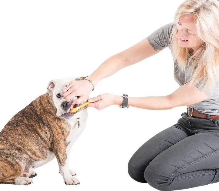 Arm & Hammer Tartar Control Beef Flavored Enzymatic Dog Dental Kit 6 Arm & Hammer Tartar Control Beef Flavored Enzymatic Dog Dental Kit - Image 4