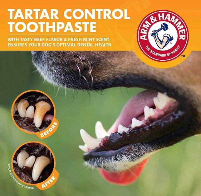 Arm & Hammer Tartar Control Beef Flavored Enzymatic Dog Dental Kit 8 Arm & Hammer Tartar Control Beef Flavored Enzymatic Dog Dental Kit - Image 6