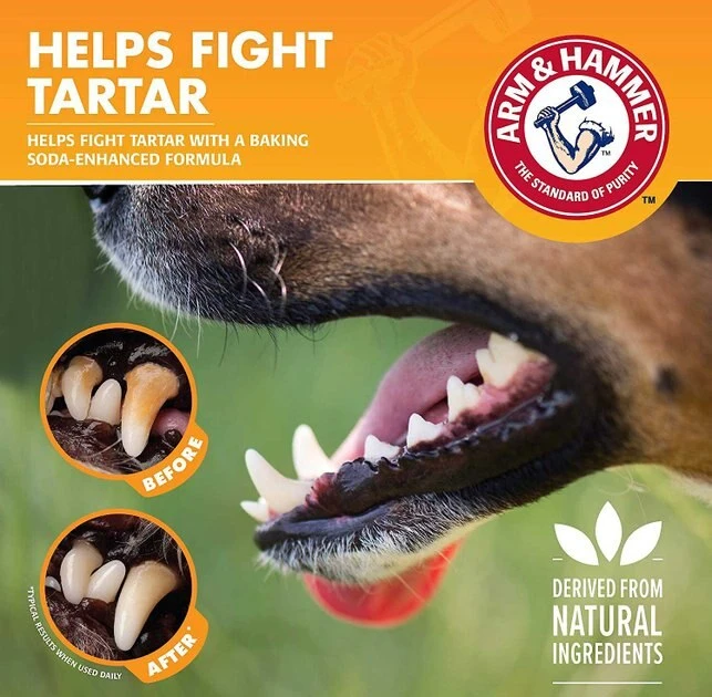 Arm & Hammer Tartar Control Mint Flavored Dog Dental Spray 5 Arm & Hammer Tartar Control Mint Flavored Dog Dental Spray - Image 4