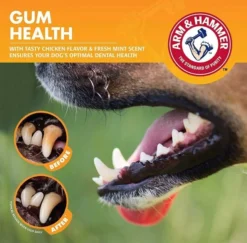 Arm & Hammer Clinical Gum Health Chicken Flavored Dog Dental Kit 13 Arm & Hammer Clinical Gum Health Chicken Flavored Dog Dental Kit -FANCY FEAST Sales 69442 PT8. SY630 V1617325609