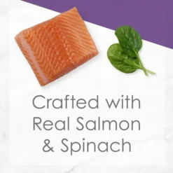 Fancy Feast Medleys Wild Salmon Florentine Canned Cat Food -FANCY FEAST Sales 75886 PT2. SY630 V1586526383