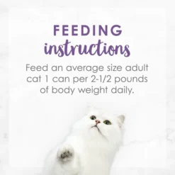 Fancy Feast Medleys Wild Salmon Florentine Canned Cat Food -FANCY FEAST Sales 75886 PT7. SY630 V1586526390