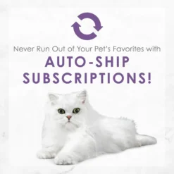 Fancy Feast Medleys Wild Salmon Florentine Canned Cat Food -FANCY FEAST Sales 75886 PT8. SY630 V1586526392