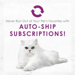 Fancy Feast Medleys White Meat Chicken Florentine Canned Cat Food 19 Fancy Feast Medleys White Meat Chicken Florentine Canned Cat Food -FANCY FEAST Sales 75888 PT8. SY630 V1659907879