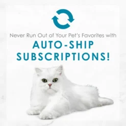 Fancy Feast Elegant Medleys Turkey Florentine Canned Cat Food 18 Fancy Feast Elegant Medleys Turkey Florentine Canned Cat Food -FANCY FEAST Sales 75890 PT8. SY630 V1659907877