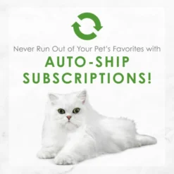 Fancy Feast Medleys Tuna Florentine Canned Cat Food -FANCY FEAST Sales 75892 PT8. SY630 V1659907818