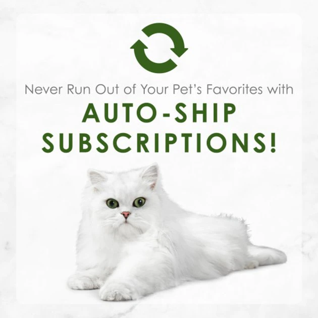 Fancy Feast Medleys Tender Turkey Primavera Canned Cat Food 11 Fancy Feast Medleys Tender Turkey Primavera Canned Cat Food - Image 9