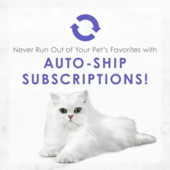 Fancy Feast Medleys White Meat Chicken Primavera Canned Cat Food 19 Fancy Feast Medleys White Meat Chicken Primavera Canned Cat Food -FANCY FEAST Sales 75896 PT8. SY630 V1649114187