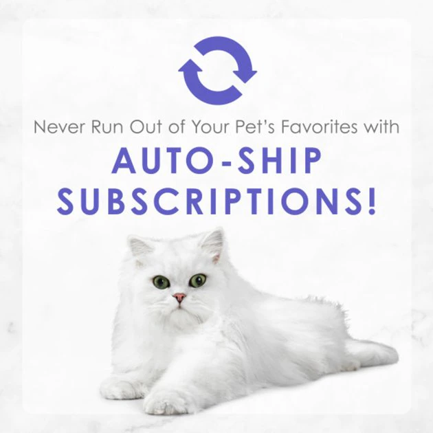 Fancy Feast Medleys White Meat Chicken Primavera Canned Cat Food 11 Fancy Feast Medleys White Meat Chicken Primavera Canned Cat Food - Image 9