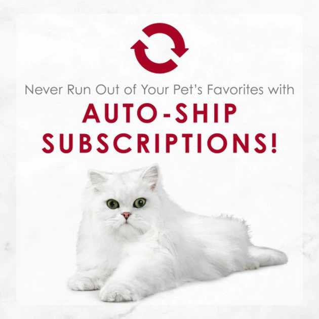 Fancy Feast Medleys Wild Salmon Primavera Canned Cat Food 11 Fancy Feast Medleys Wild Salmon Primavera Canned Cat Food - Image 9