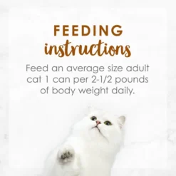 Fancy Feast Medleys Tender Turkey Tuscany Canned Cat Food 18 Fancy Feast Medleys Tender Turkey Tuscany Canned Cat Food -FANCY FEAST Sales 75904 PT7. SY630 V1586526990