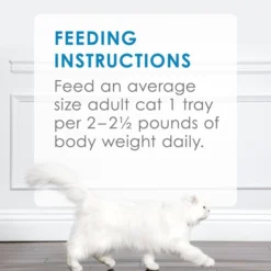 Fancy Feast Purely Tender Tongol Tuna Wet Cat Food -FANCY FEAST Sales 75941 PT8. SY630 V1541527711