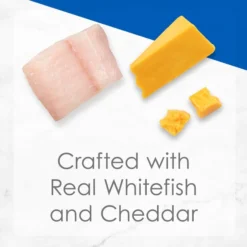 Fancy Feast Delights with Cheddar Grilled Whitefish & Cheddar Cheese Feast in Gravy Canned Cat Food 13 Fancy Feast Delights with Cheddar Grilled Whitefish & Cheddar Cheese Feast in Gravy Canned Cat Food -FANCY FEAST Sales 75958 PT2. SY630 V1560955698