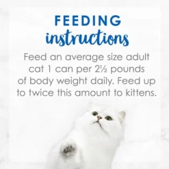 Fancy Feast Delights with Cheddar Grilled Whitefish & Cheddar Cheese Feast in Gravy Canned Cat Food 18 Fancy Feast Delights with Cheddar Grilled Whitefish & Cheddar Cheese Feast in Gravy Canned Cat Food -FANCY FEAST Sales 75958 PT7. SY630 V1560955672