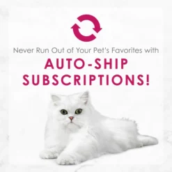 Fancy Feast Delights with Cheddar Grilled Chicken & Cheddar Cheese Feast in Gravy Canned Cat Food 19 Fancy Feast Delights with Cheddar Grilled Chicken & Cheddar Cheese Feast in Gravy Canned Cat Food -FANCY FEAST Sales 75960 PT8. SY630 V1560955722