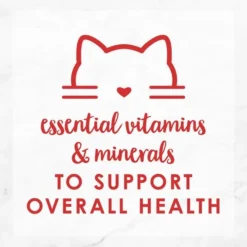 Fancy Feast Gravy Lovers Beef Feast in Roasted Beef Flavor Gravy Canned Cat Food -FANCY FEAST Sales 75962 PT5. SY630 V1572886178