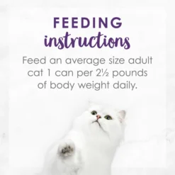 Fancy Feast Gravy Lovers Chicken & Beef Feast in Grilled Chicken Flavor Gravy Canned Cat Food -FANCY FEAST Sales 75966 PT7. SY630 V1572886198