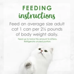 Fancy Feast Gravy Lovers Salmon Feast in Seared Salmon Flavor Gravy Canned Cat Food -FANCY FEAST Sales 75970 PT7. SY630 V1572886409