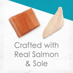 Fancy Feast Gravy Lovers Salmon & Sole Feast in Seared Salmon Flavor Gravy Canned Cat Food 13 Fancy Feast Gravy Lovers Salmon & Sole Feast in Seared Salmon Flavor Gravy Canned Cat Food -FANCY FEAST Sales 75972 PT2. SY630 V1572886390