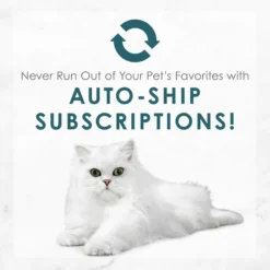 Fancy Feast Gravy Lovers Turkey Feast in Roasted Turkey Flavor Gravy Canned Cat Food 19 Fancy Feast Gravy Lovers Turkey Feast in Roasted Turkey Flavor Gravy Canned Cat Food -FANCY FEAST Sales 75974 PT8. SY630 V1572886436