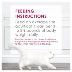 Fancy Feast Classic Chicken Feast Canned Cat Food 19 Fancy Feast Classic Chicken Feast Canned Cat Food -FANCY FEAST Sales 76011 PT8. SY630 V1551817960