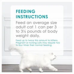 Fancy Feast Classic Seafood Feast Canned Cat Food -FANCY FEAST Sales 76016 PT8. SY630 V1551817971