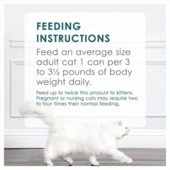 Fancy Feast Classic Salmon & Shrimp Feast Canned Cat Food 19 Fancy Feast Classic Salmon & Shrimp Feast Canned Cat Food -FANCY FEAST Sales 76022 PT8. SY630 V1551817982