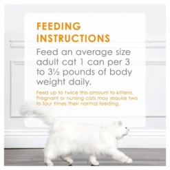 Fancy Feast Classic Tender Liver & Chicken Feast Canned Cat Food 19 Fancy Feast Classic Tender Liver & Chicken Feast Canned Cat Food -FANCY FEAST Sales 76027 PT8. SY630 V1549485766