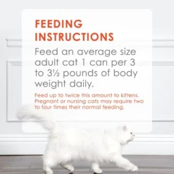 Fancy Feast Classic Savory Salmon Feast Canned Cat Food 19 Fancy Feast Classic Savory Salmon Feast Canned Cat Food -FANCY FEAST Sales 76030 PT8. SY630 V1541526417