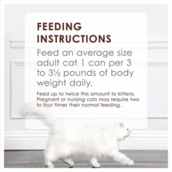 Fancy Feast Classic Tender Beef Feast Canned Cat Food -FANCY FEAST Sales 76035 PT8. SY630 V1551817994