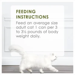 Fancy Feast Classic Turkey & Giblets Feast Canned Cat Food 19 Fancy Feast Classic Turkey & Giblets Feast Canned Cat Food -FANCY FEAST Sales 76038 PT8. SY630 V1551818006