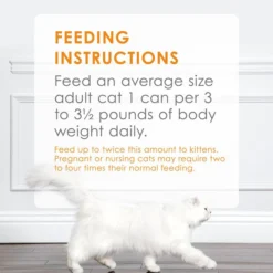 Fancy Feast Poultry & Beef Classic Pate Variety Pack Canned Cat Food 19 Fancy Feast Poultry & Beef Classic Pate Variety Pack Canned Cat Food -FANCY FEAST Sales 76049 PT8. SY630 V1606378010