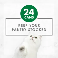 Fancy Feast Chunky Turkey Feast Canned Cat Food -FANCY FEAST Sales 76067 PT6. SY630 V1644921386
