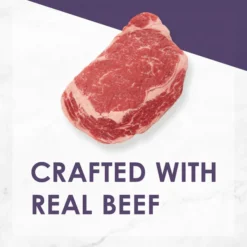 Fancy Feast Grilled Beef Feast in Gravy Canned Cat Food -FANCY FEAST Sales 76069 PT2. SY630 V1560367919