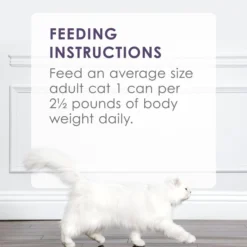 Fancy Feast Grilled Beef Feast in Gravy Canned Cat Food -FANCY FEAST Sales 76069 PT7. SY630 V1560367925