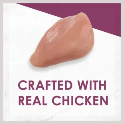 Fancy Feast Grilled Chicken Feast in Gravy Canned Cat Food -FANCY FEAST Sales 76073 PT3. SY630 V1641255423