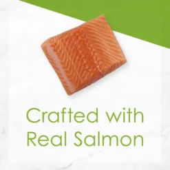 Fancy Feast Grilled Salmon Feast in Gravy Canned Cat Food -FANCY FEAST Sales 76083 PT3. SY630 V1629151347