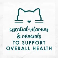 Fancy Feast Grilled Turkey Feast in Gravy Canned Cat Food -FANCY FEAST Sales 76087 PT5. SY630 V1560367711