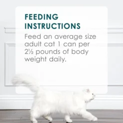 Fancy Feast Grilled Turkey Feast in Gravy Canned Cat Food -FANCY FEAST Sales 76087 PT7. SY630 V1560367682