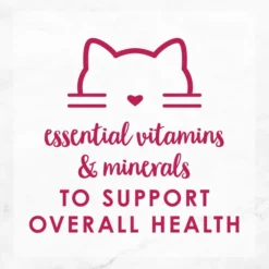 Fancy Feast Sliced Chicken Feast in Gravy Canned Cat Food -FANCY FEAST Sales 76130 PT6. SY630 V1612996315